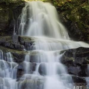 Meet your Posher, Candy